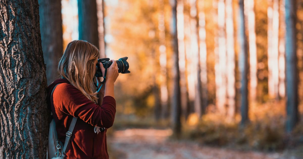 Ysaan Books Releases Innovative Educational Resource on Thai Culture Through Poetry