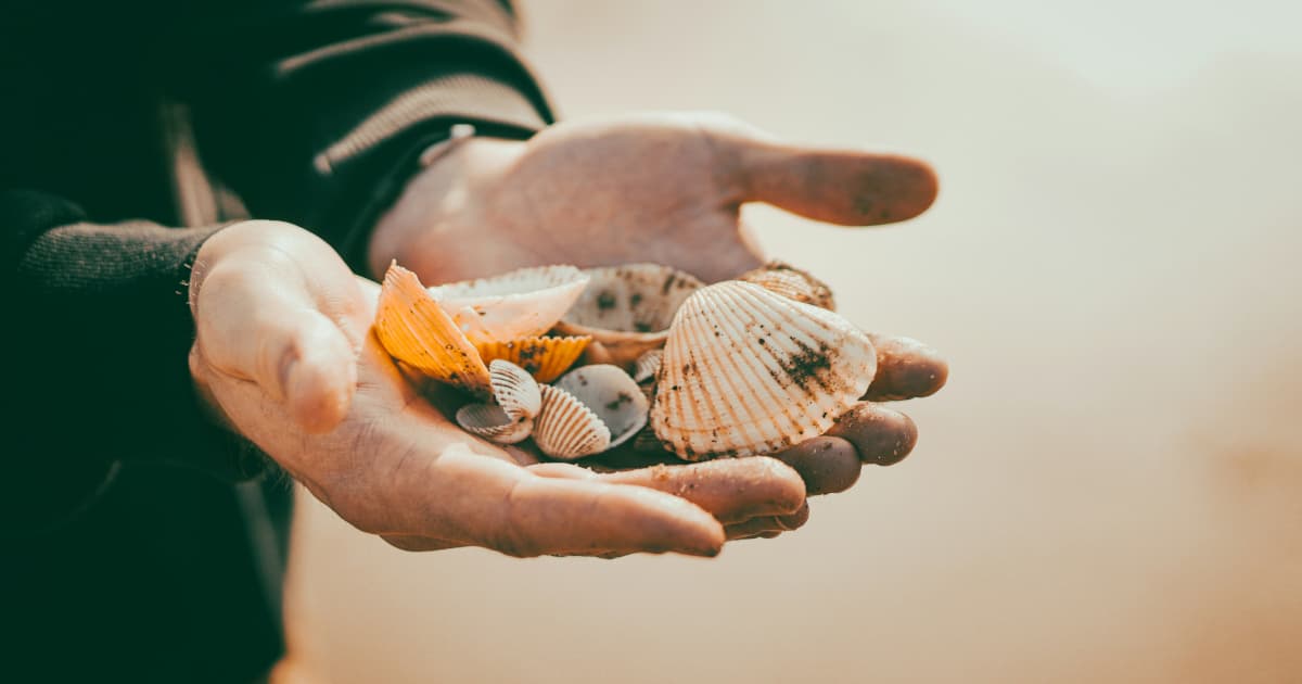 National Initiative Aims to Distribute 'Never Lost' to Every HBCU Student