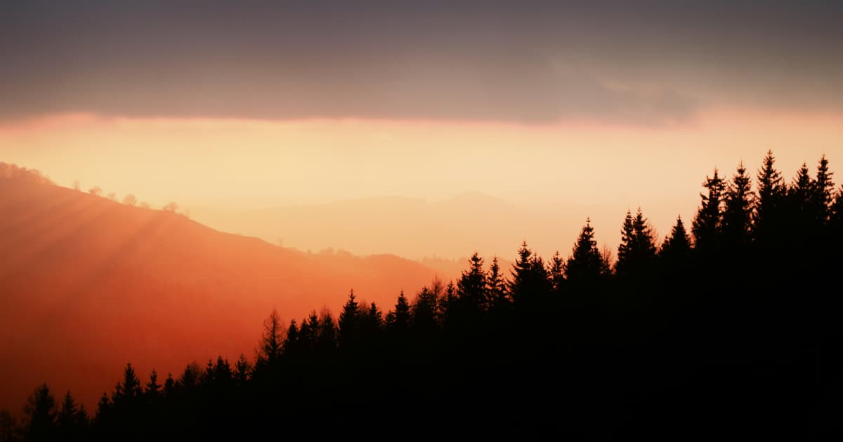 Historic Bible to be Used in Installation of First Female Archbishop of Canterbury