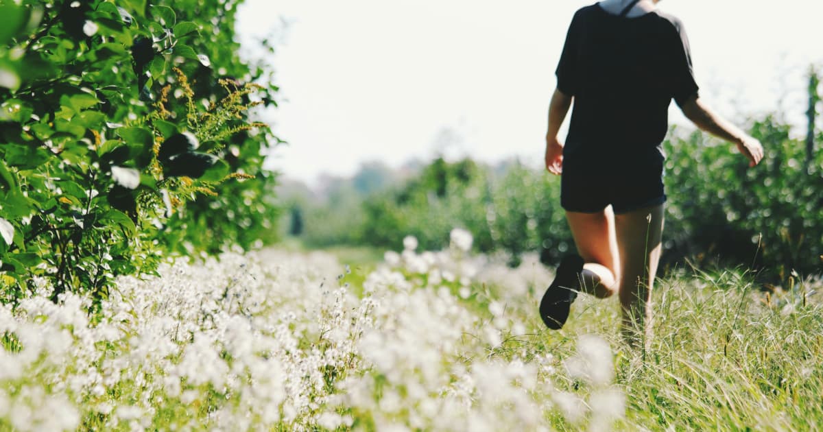 New Book 'The Heart Code' Achieves USA Today Bestseller Status in First Week