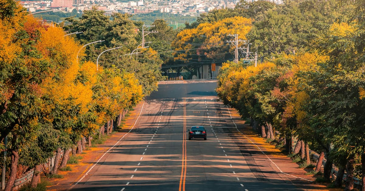 Travel Essay Collection 'Asian Trail Mix' Highlights Literary Alternative to Physical Journeys