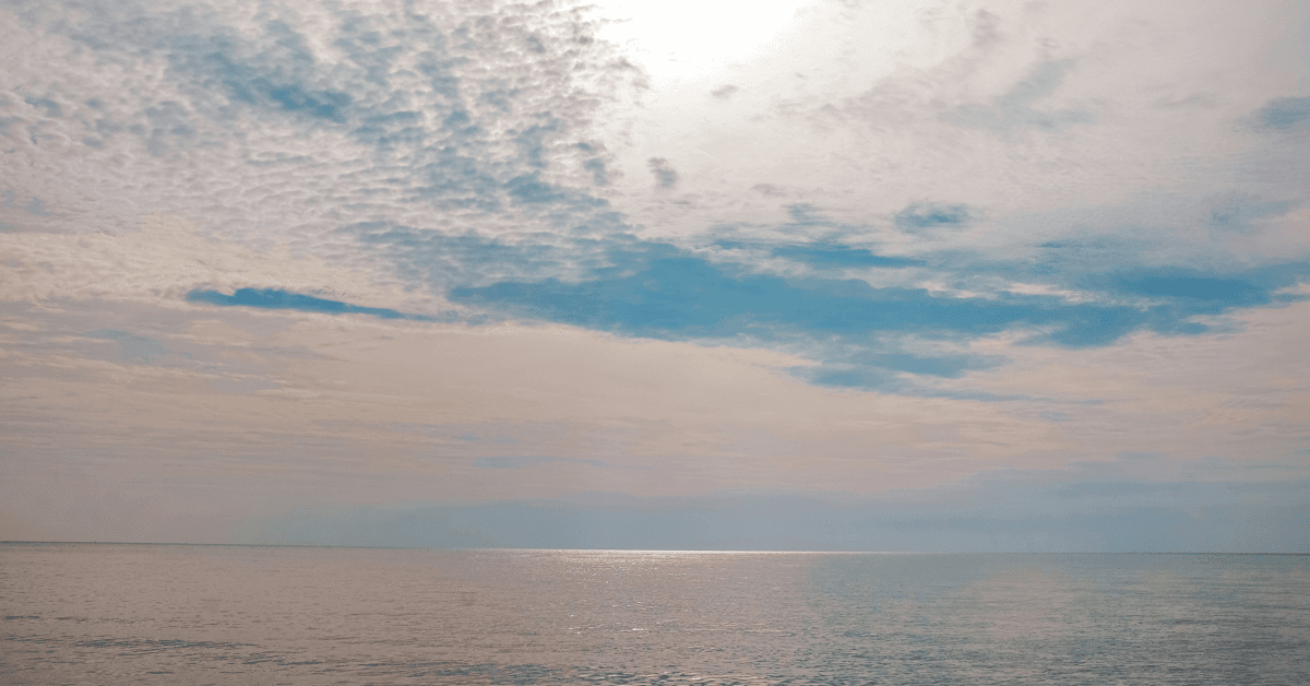 James Borton's 'Harvesting the Waves' Highlights the Role of Blue Parks in South China Sea Conservation and Peacebuilding